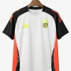 maillot-benfica-avant-match-2024-2025 studio v12 Voetbalshirt Benfica Voorwedstrijd 2024-2025