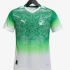 maillot-cote-divoire-concept-2026 studio v12 Ivoorkust Concept 2026 Voetbalshirt