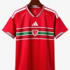 maillot-domicile-pays-de-galles-2026 studio v10 Thuisshirt Wales 2026