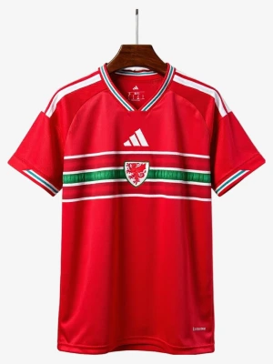 maillot-domicile-pays-de-galles-2026 studio v10 Thuisshirt Wales 2026