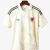 maillot-exterieur-pays-de-galles-2026 studio v10 Uitshirt Wales 2026