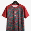 maillot-portugal-2026-27-special-red studio v12 Portugal 2026/27 Special Red Voetbalshirt