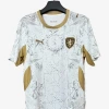 maillot-republique-tcheque-exterieur-2026 studio v12 Voetbalshirt Tsjechië Uitshirt 2026