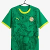 maillot-senegal-exterieur-2024-2025 studio v12 Senegal Uitshirt 2024-2025